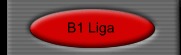 B1 Liga